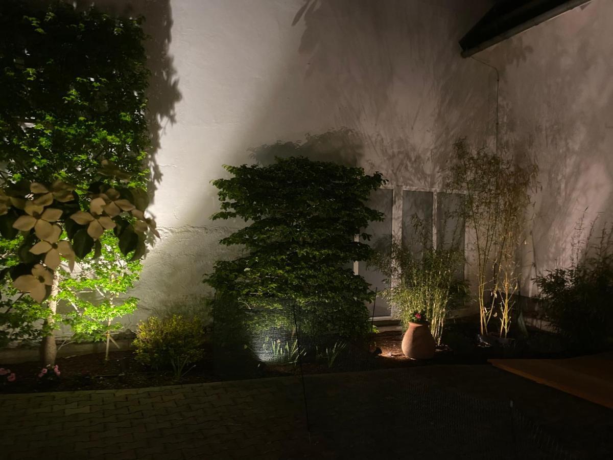 Altstadt-Chalet @Conny'S Brilon Exterior photo